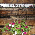 W wall planter #4
