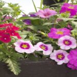 Grab and Go Planter 5446