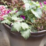 Grab and Go Planter 5470