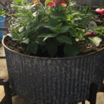 Grab and Go Planter 5555